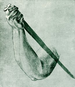 Estudio del brazo para Lucrecia de Albrecht Dürer